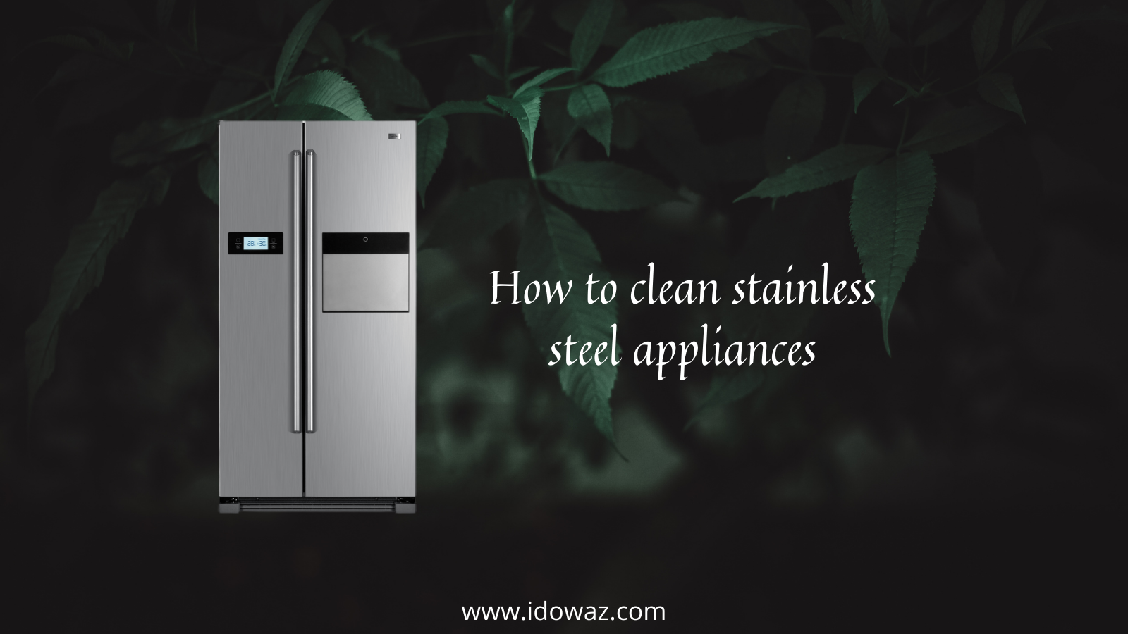 You are currently viewing How to clean stainless steel appliances.