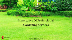 Read more about the article Importance Of Professional Gardening Services