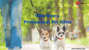 Read more about the article Why Hire a Professional Pet Sitter