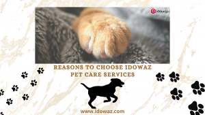 Read more about the article Reasons to Choose Idowaz Pet Care Services