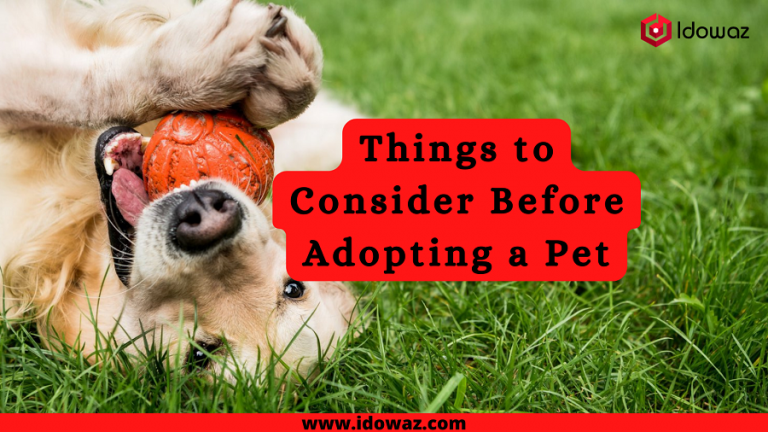 Read more about the article Things to Consider Before Adopting a Pet